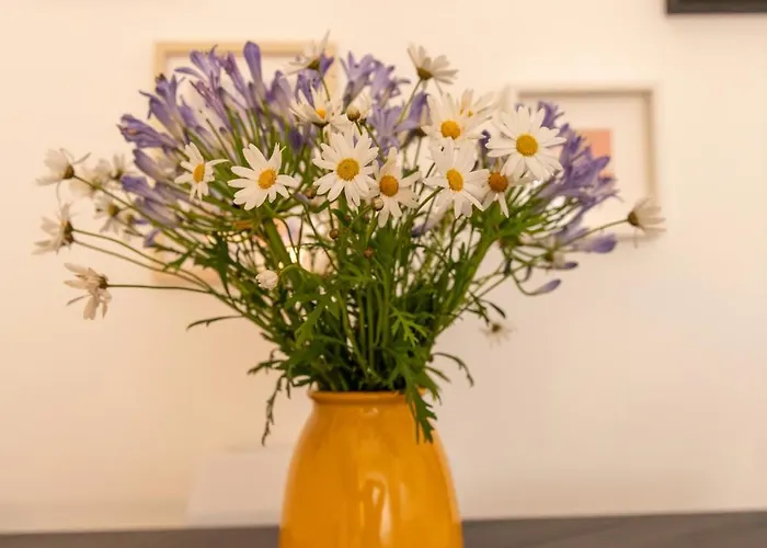 Casa Caterina House - Bright Modern Near Trastevere Rome